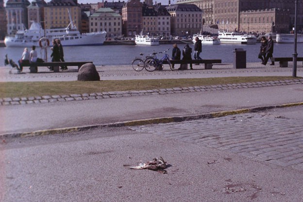 http://www.bethlau.com/files/gimgs/th-105_stockholm032-624.jpg